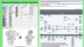 Screen Shot 2021-09-08 at 4.08.57 PM.png
